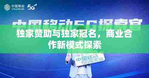独家赞助与独家冠名,商业合作新模式探索