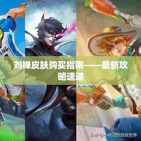 刘禅皮肤购买指南——最新攻略速递