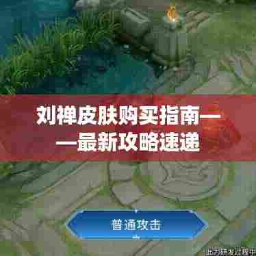 刘禅皮肤购买指南——最新攻略速递