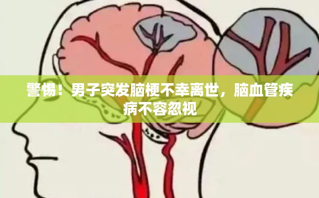 警惕!男子突发脑梗不幸离世,脑血管疾病不容忽视
