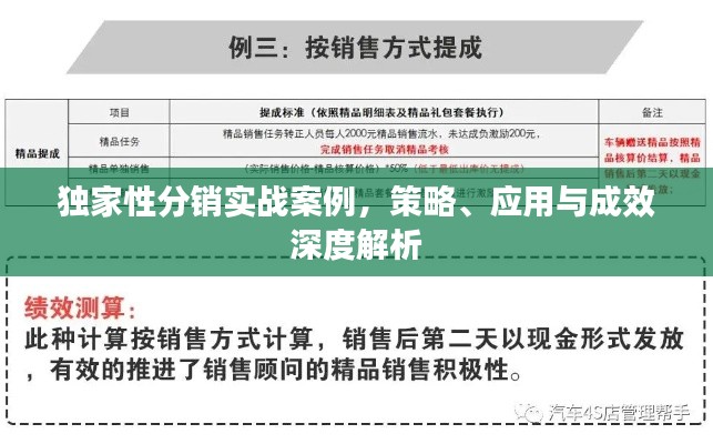 独家性分销实战案例,策略、应用与成效深度解析