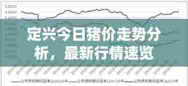 定兴今日猪价走势分析,最新行情速览
