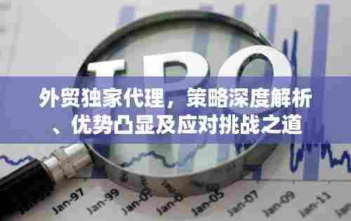 外贸独家代理,策略深度解析、优势凸显及应对挑战之道
