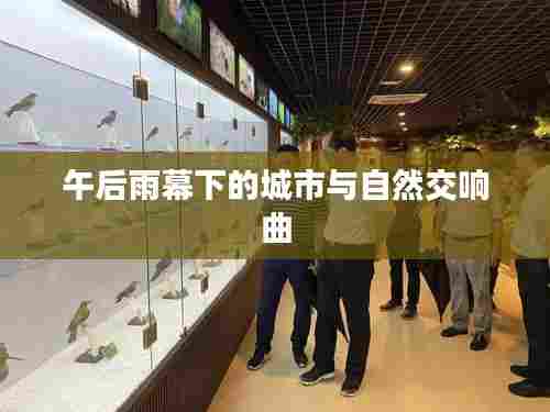 午后雨幕下的城市与自然交响曲