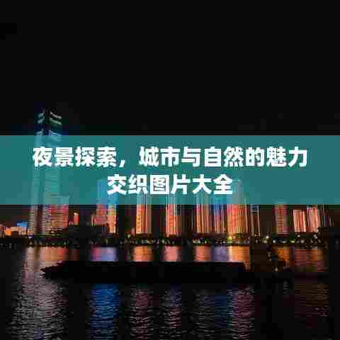 夜景探索，城市与自然的魅力交织图片大全