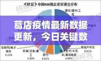 葛店疫情最新数据更新,今日关键数据揭秘