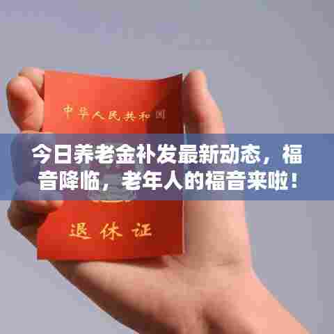 今日养老金补发最新动态,福音降临,老年人的福音来啦!