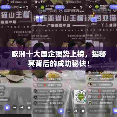 欧洲十大国企强势上榜,揭秘其背后的成功秘诀!