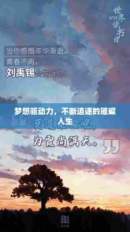 梦想驱动力,不断追逐的璀璨人生