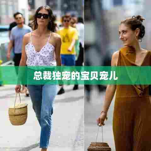 总裁独宠的宝贝宠儿