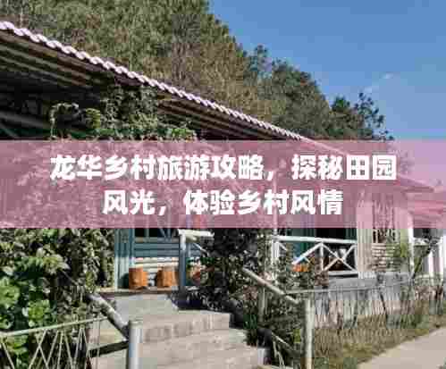 龙华乡村旅游攻略,探秘田园风光,体验乡村风情