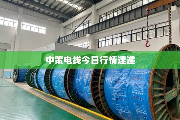 张弓挟矢 第5页