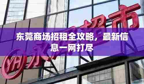 东莞商场招租全攻略,最新信息一网打尽