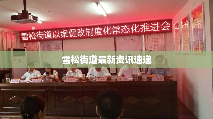 雪松街道最新资讯速递