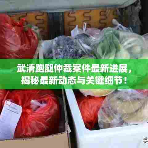 武清跑腿仲裁案件最新进展,揭秘最新动态与关键细节!