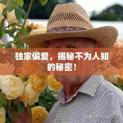 独家偏爱,揭秘不为人知的秘密!