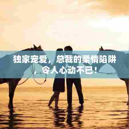 独家宠爱,总裁的柔情陷阱,令人心动不已!