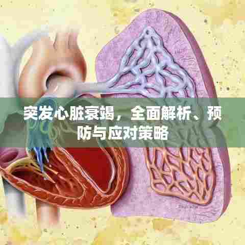 突发心脏衰竭,全面解析、预防与应对策略