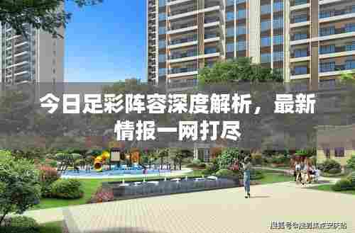 今日足彩阵容深度解析,最新情报一网打尽