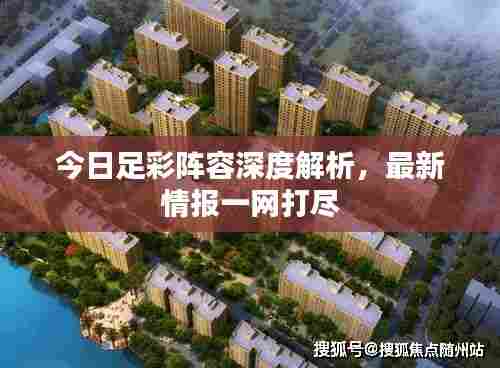 今日足彩阵容深度解析,最新情报一网打尽