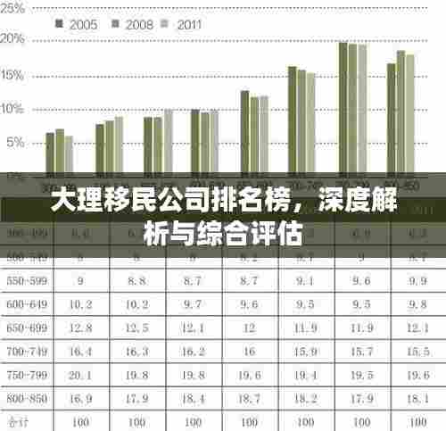 大理移民公司排名榜,深度解析与综合评估