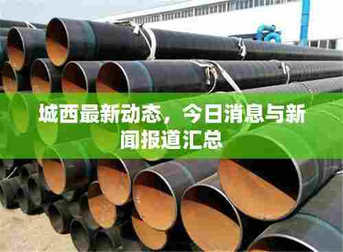 城西最新动态,今日消息与新闻报道汇总