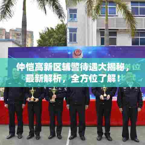 仲恺高新区辅警待遇大揭秘,最新解析,全方位了解!