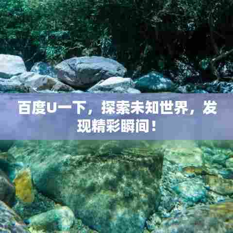 百度U一下,探索未知世界,发现精彩瞬间!
