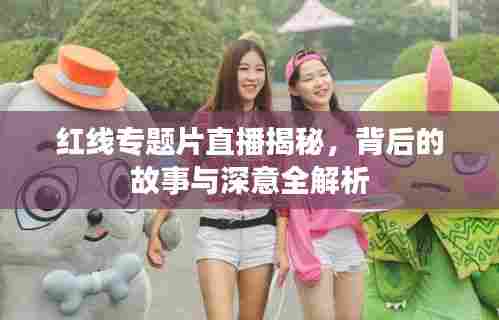 红线专题片直播揭秘，背后的故事与深意全解析