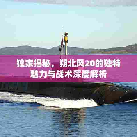 独家揭秘,朔北风20的独特魅力与战术深度解析