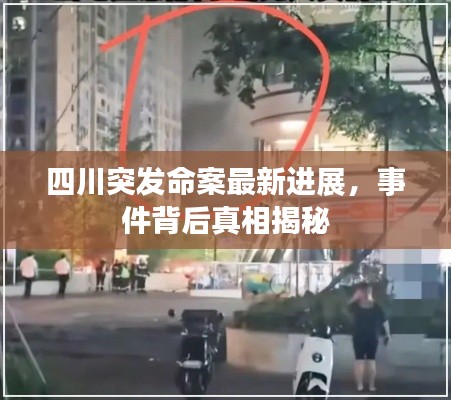 四川突发命案最新进展,事件背后真相揭秘