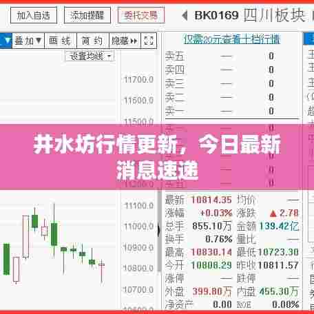 井水坊行情更新,今日最新消息速递