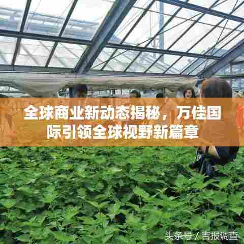 全球商业新动态揭秘,万佳国际引领全球视野新篇章