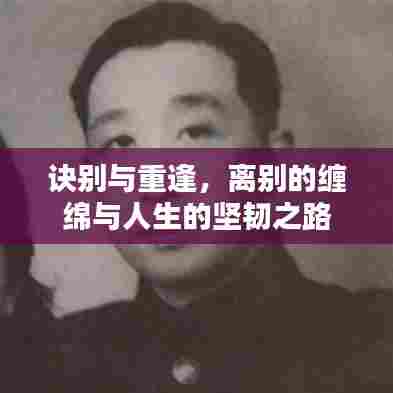 诀别与重逢,离别的缠绵与人生的坚韧之路