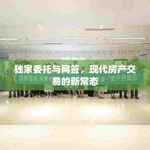 独家委托与网签,现代房产交易的新常态