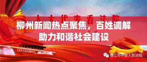 柳州新闻热点聚焦,百姓调解助力和谐社会建设