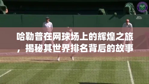 哈勒普在网球场上的辉煌之旅,揭秘其世界排名背后的故事(2022年)