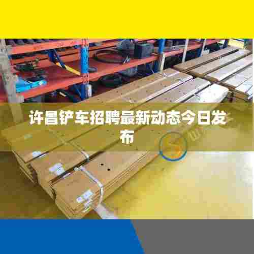 许昌铲车招聘最新动态今日发布