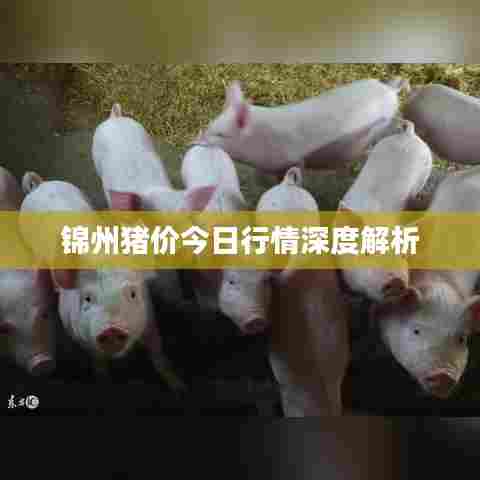 披肝沥胆 第5页