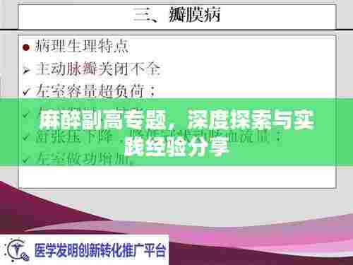 麻醉副高专题,深度探索与实践经验分享