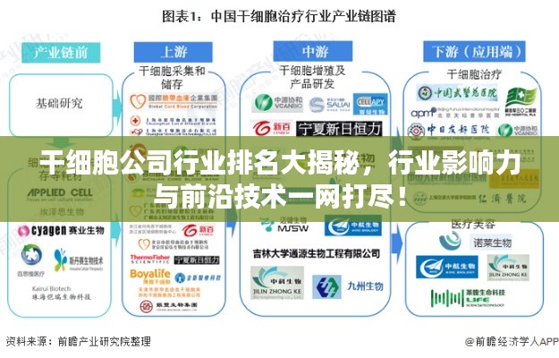 干细胞公司行业排名大揭秘,行业影响力与前沿技术一网打尽!