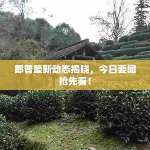 郎普最新动态揭晓,今日要闻抢先看!