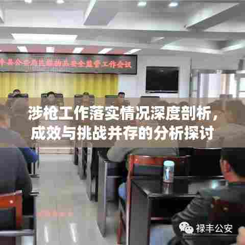 涉枪工作落实情况深度剖析,成效与挑战并存的分析探讨