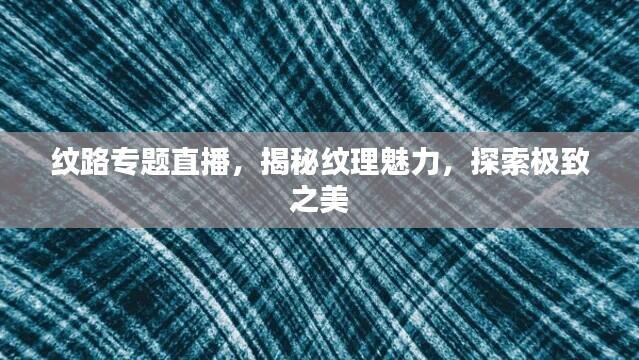 纹路专题直播,揭秘纹理魅力,探索极致之美