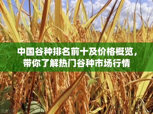 中国谷种排名前十及价格概览,带你了解热门谷种市场行情