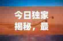 今日独家揭秘,最新飞机动态重磅来袭!