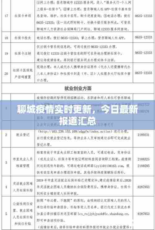 聊城疫情实时更新,今日最新报道汇总