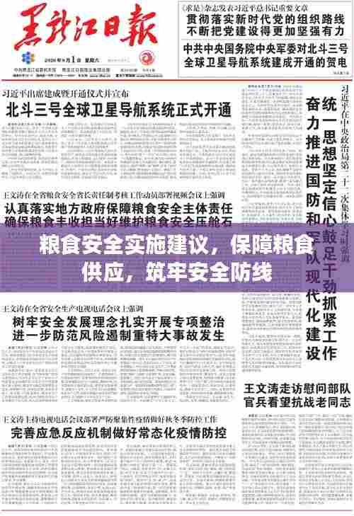 粮食安全实施建议,保障粮食供应,筑牢安全防线