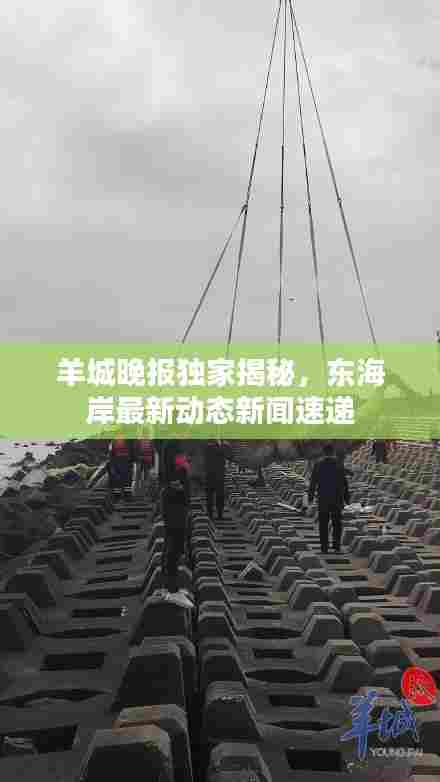 羊城晚报独家揭秘，东海岸最新动态新闻速递