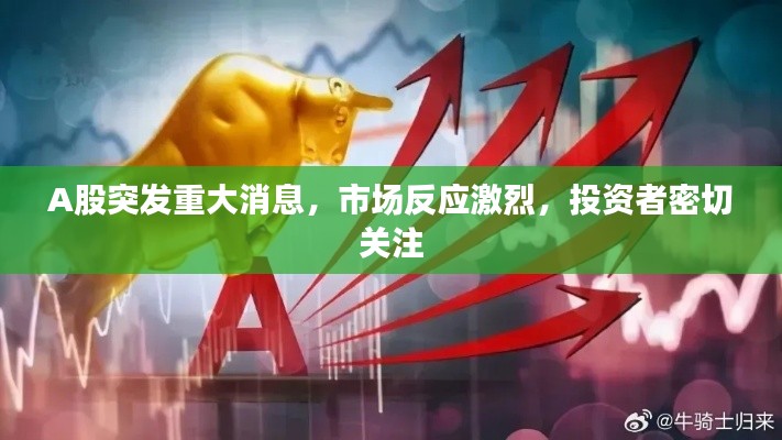 A股突发重大消息,市场反应激烈,投资者密切关注